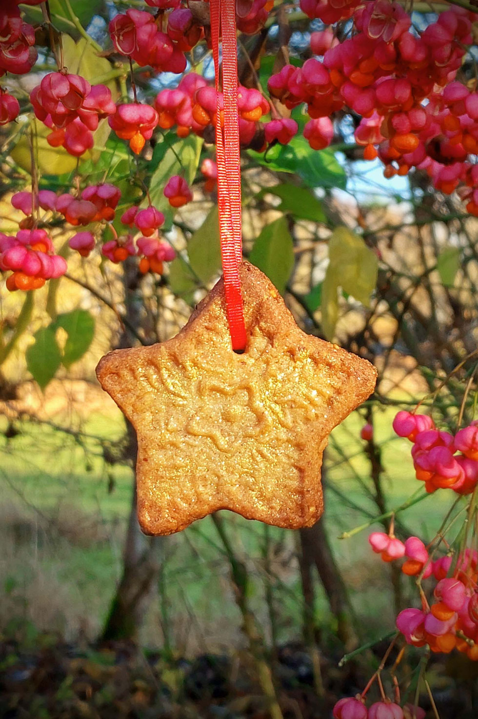 Cookies, Kekse, Haselnuss, Haselnüsse, Tulsi, Orangenschale, Gewürze, Zimt, Kardamom, Weihnachten, Advent, Winter, Heiliges Basilikum, Adaptogen, Backen, Rezept, grüne Hexe, Küchenhexe