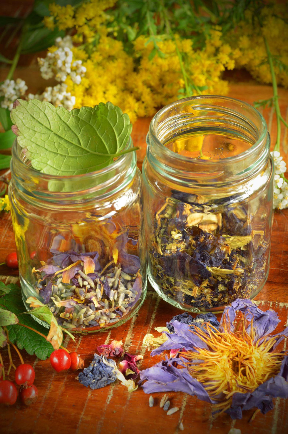 Honig, Honey, herbal, Kräuter, selber machen, selbstgemacht, infused honey, Elektuar, electuary, gesund, Erkältung, Magen-Darm, Schlaf, Blue Lotus, Blue pea, Rose, Beifuß, Kamille, Rosmarin, Salbei, Tulsi, Kräuterhexe, Küchenhexe,