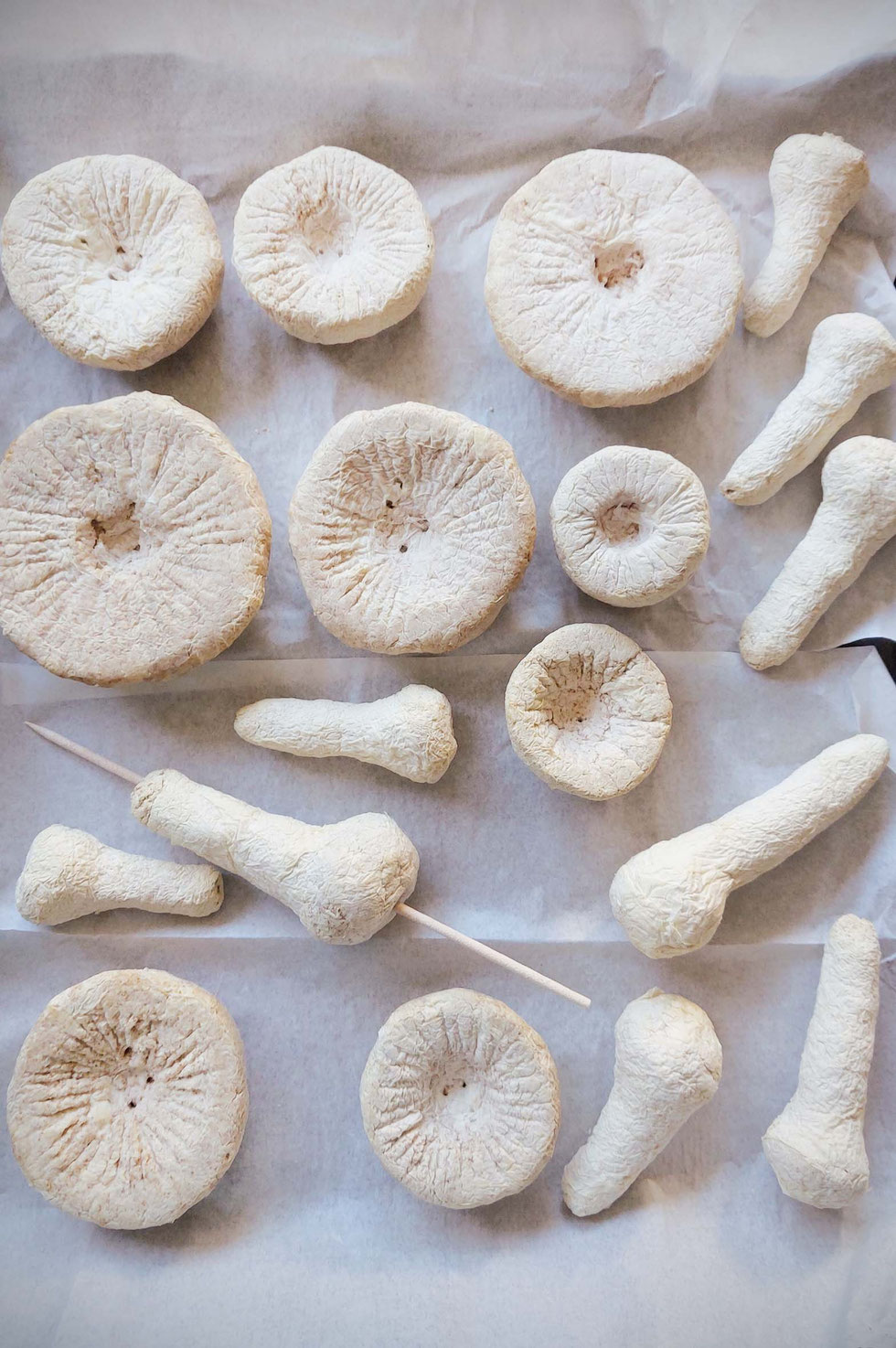 Fliegenpilz, Krötenstuhl, Mythologie, Amanita, Amanita muscaria, selber machen, Papiermaché, handgemacht, diy, Wald, Ibotensäure, Muscimol, Microdosing, getrocknete Pilze, giftig, toxisch, basteln, Pilze, nordische, Pantherina-Syndrom, Pantherpilz 
