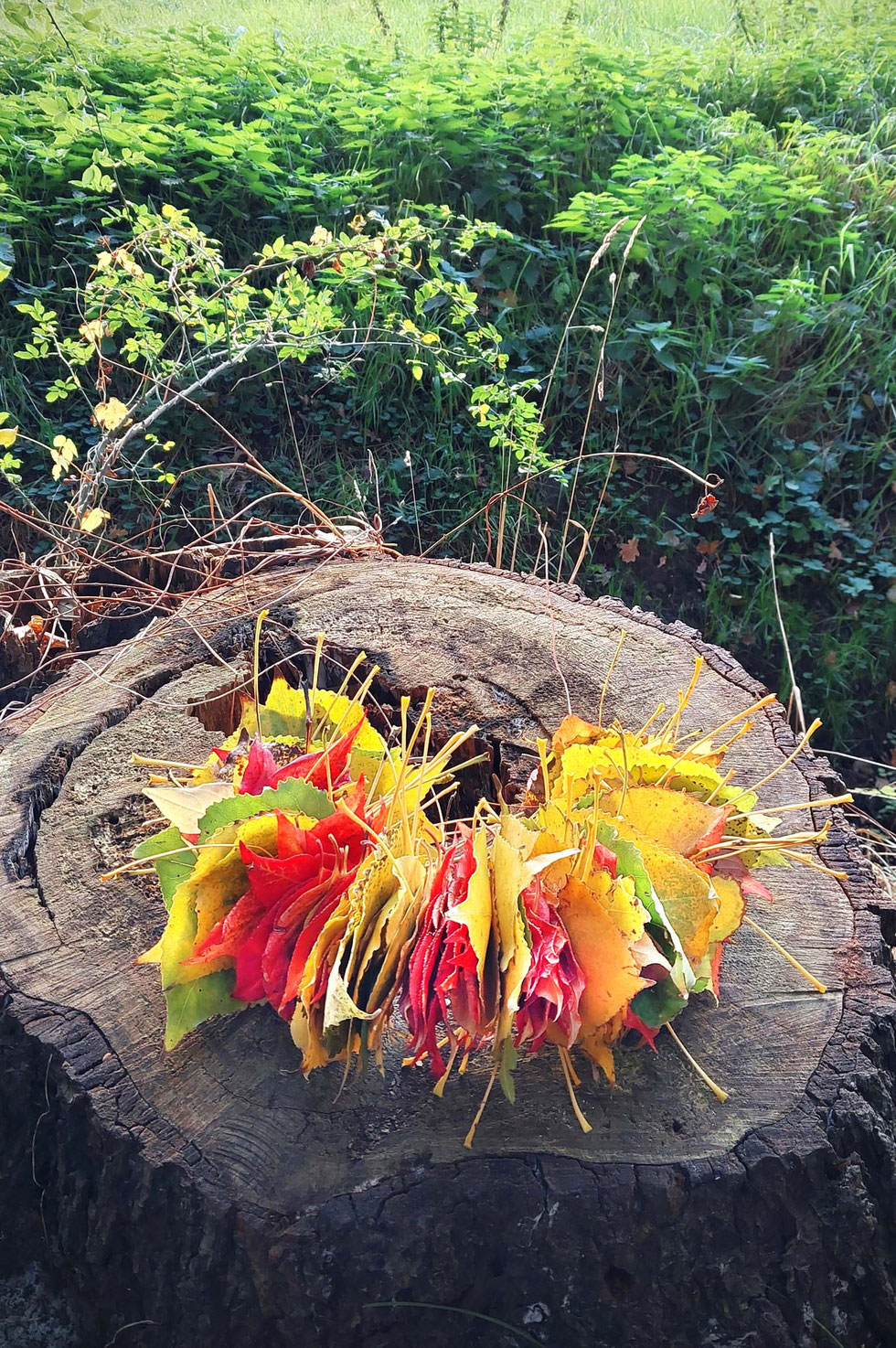 Herbst, Dekoration, Deko, selber machen, selbstgemacht, Kranz, Blätter, Blätterkranz, Herbstkranz, Herbstblätterkranz, diy, Herbstliebe, Herbstfarben, Blättergirlande, Pappelblätter, Pfaffenhütchen, Windlicht, Basteln, Kreatives, Natur, Naturmaterialien, 