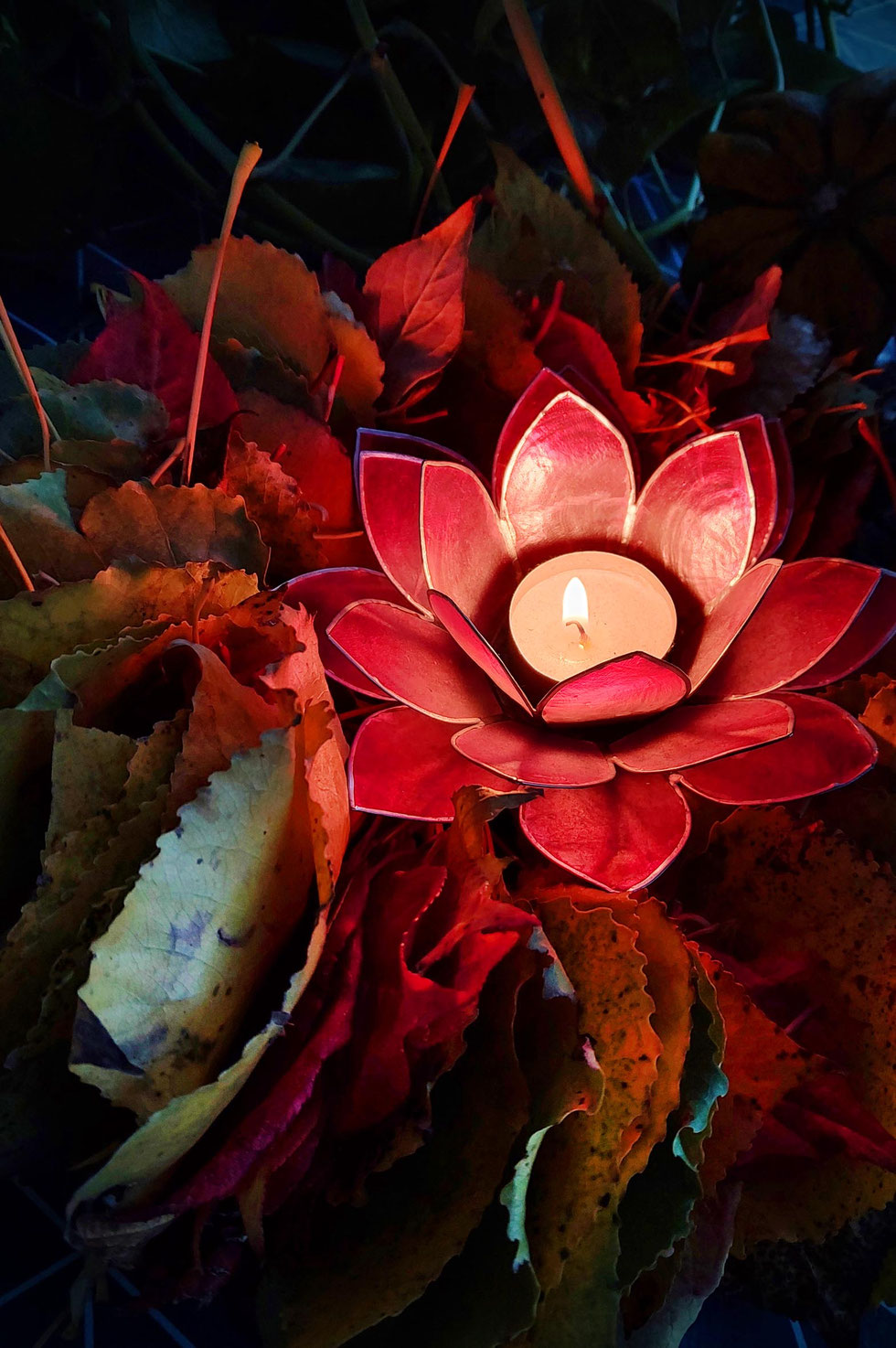 Herbst, Dekoration, Deko, selber machen, selbstgemacht, Kranz, Blätter, Blätterkranz, Herbstkranz, Herbstblätterkranz, diy, Herbstliebe, Herbstfarben, Blättergirlande, Pappelblätter, Pfaffenhütchen, Windlicht, Basteln, Kreatives, Natur, Naturmaterialien, 