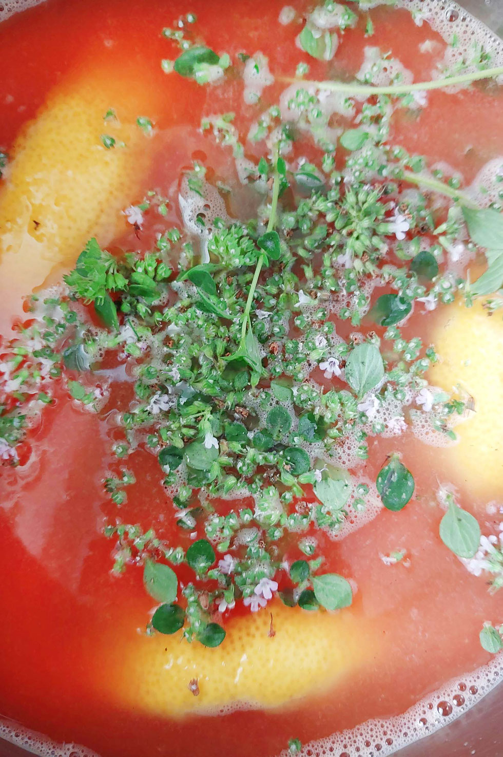 Zitronen, Grapefruit, pink, Orangen, Zitrus, Zitrusfrüchte, Sirup, selber machen, Rezept, Thymian, Zitronenthymian, Kräuter, Kräuter-Sirup, lecker, Kräuterhexe, Küchenhexe
