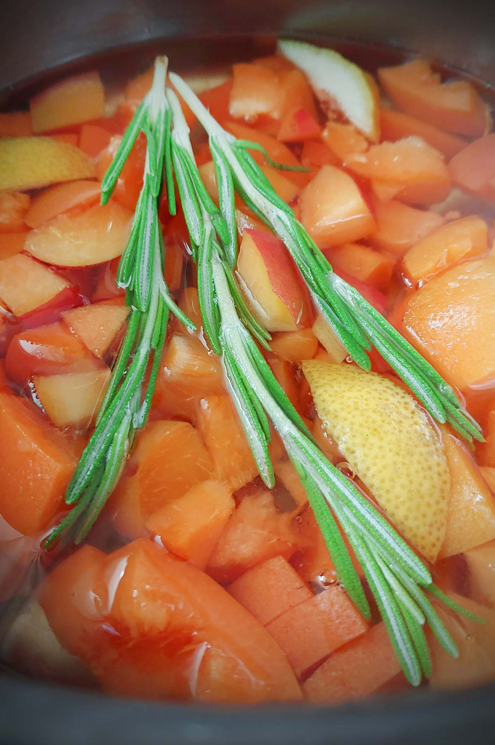 Essig, Fruchtessig, Balsam, Balsamico, Weißweinessig, Aprikose, Rosmarin, Chili, Schwarze Johannisbeere, Schlehen, Essig herstellen, fruchtige Essige selber machen, selber machen, diy, Früchte, Resteverwertung