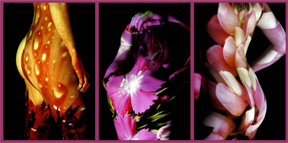 All photographs copyright Graham Howard (c) 2014