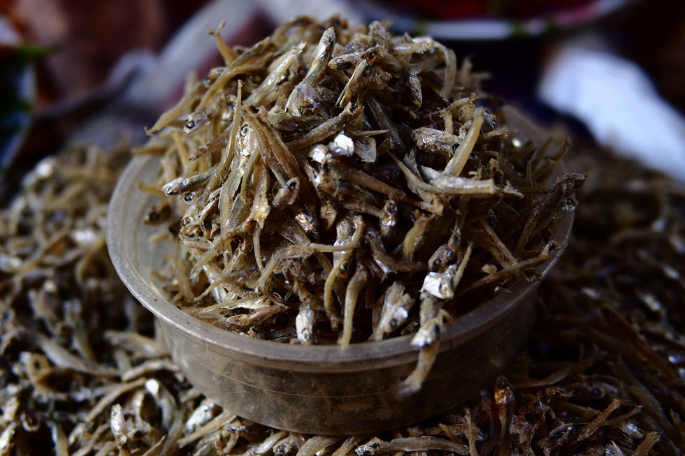 Ikan Teri