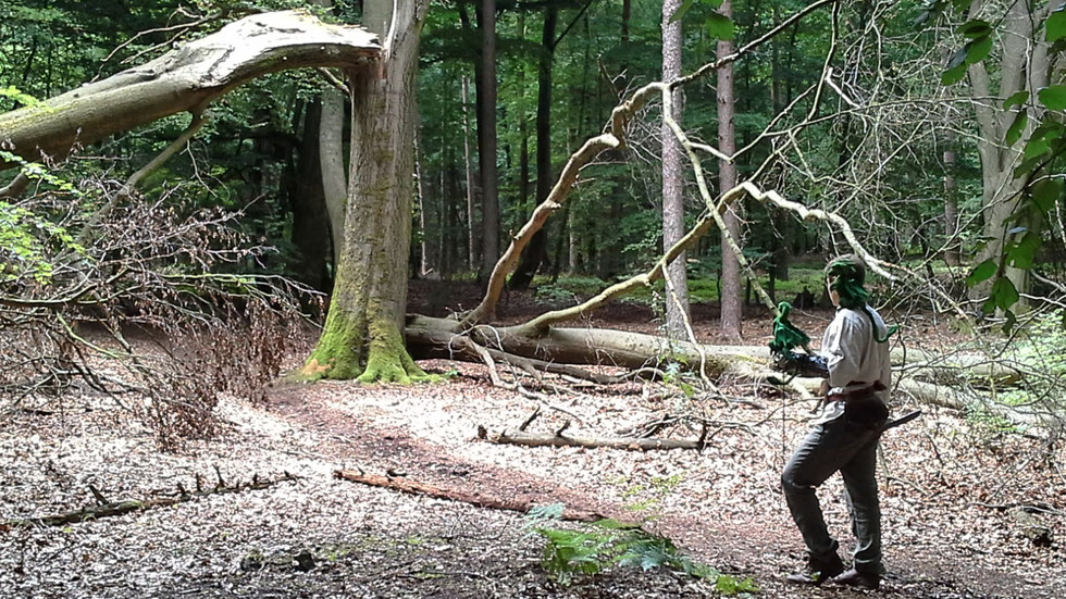 irrlichtjaeger im Wald mit Drachen