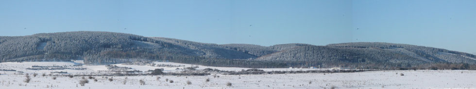 Der Thüringer Wald aus Richtung Flugplatz im Januar 2016