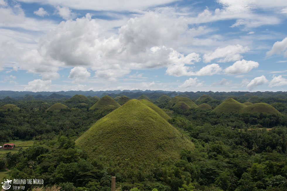 Chocolate Hills-Bohol |aroundtheworldstepbystep.com