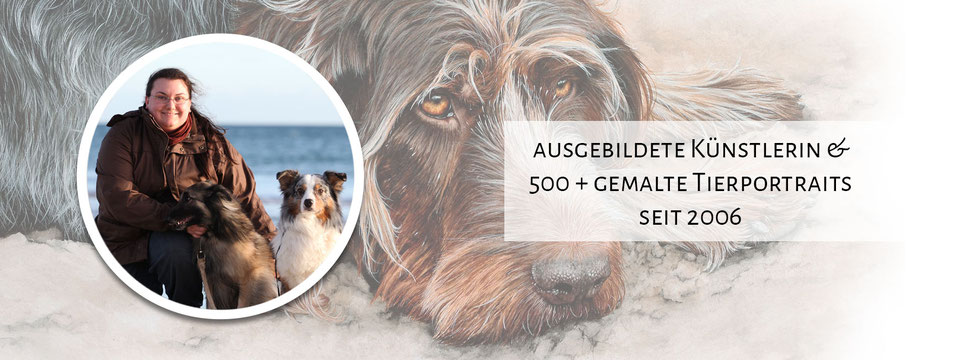 Hundeportrait gemalt Münsterländer Aquarell Hunde Portraits 