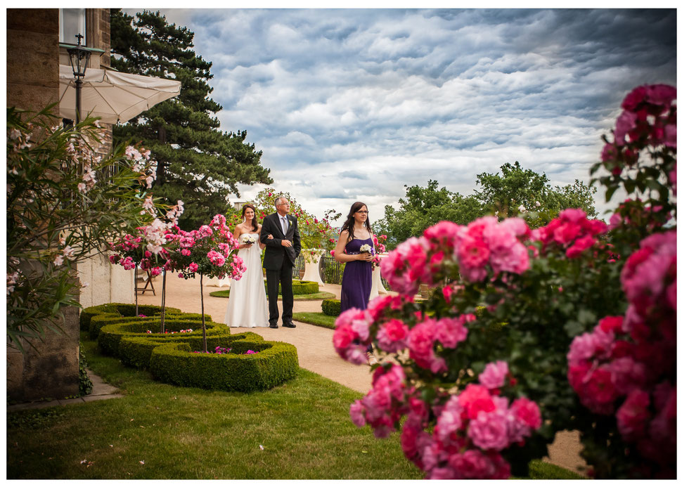 Hochzeit Schloss Eckberg Hochzeitsfotograf Hochzeit Schloss Eckberg Dresden, Hochzeit Dresden, internationale Hochzeit Dresden, Hochteizsfotograf Dresden Schloss Eckberg, Schlösserland Sachsen Hochzeit, Schloss Eckberg Dresden, Fotograf Hochzeit Dresden, 