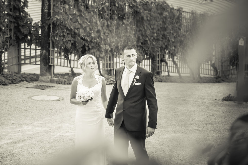 Hochzeit Schloss Wackerbarth Radebeul, Hochzeitsfotos Dresden, Hochzeitsfotograf Dresden, Hochzeit Schloss Wackerbarth, Hochzeit Radebeul, Hochzeit auf Schloss Wackerbarth Radebeul, Hochzeitsfotos Schloss Wackerbarth, Hochzeit Schloss Wackerbarth