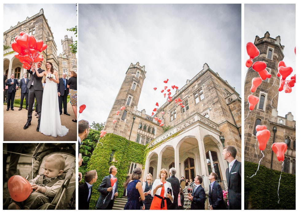 Hochzeit Schloss Eckberg Dresden Hochzeitsfotograf Hochzeit Schloss Eckberg Dresden, Hochzeit Dresden, internationale Hochzeit Dresden, Hochteizsfotograf Dresden Schloss Eckberg, Schlösserland Sachsen Hochzeit, Schloss Eckberg Dresden, Fotograf Hochzeit D