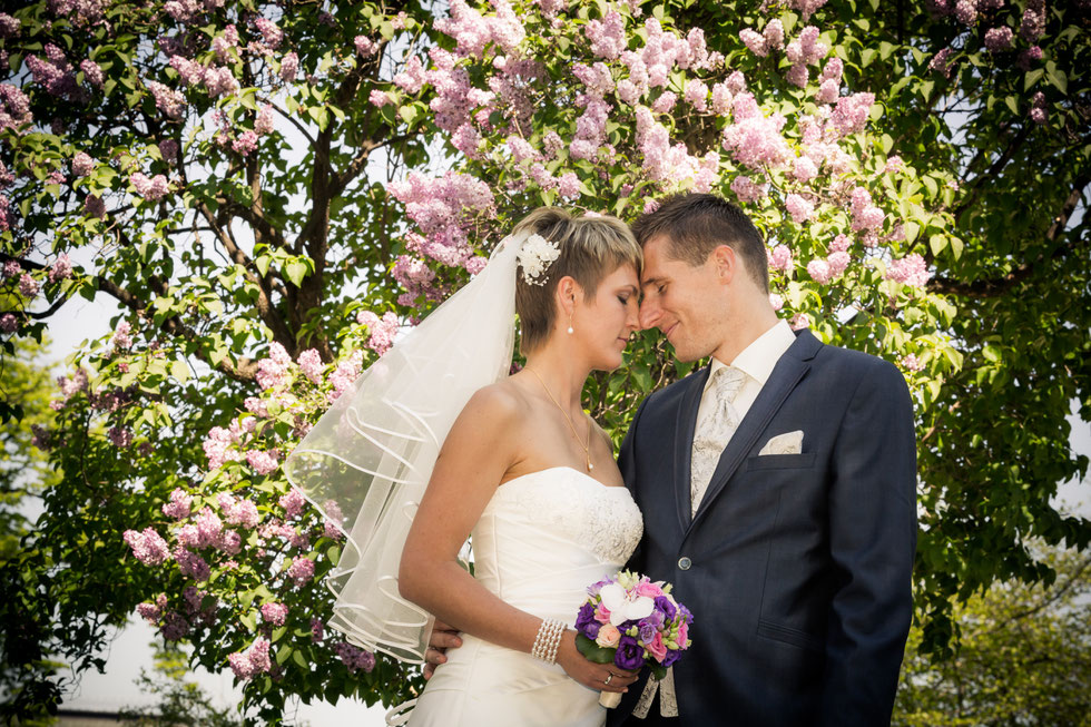 Hochzeit Dresden, Hochzeitsfotograf Dresden, Hochzeit Goetheallee Dresden, Hochzeitsfotos Altstadt Dresden, Hochzeit Lingnerterrassen Dresden