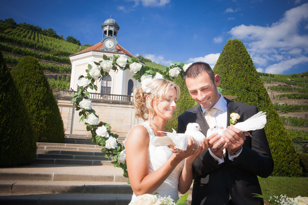Hochzeitsfotos Dresden, Hochzeitsfotograf Dresden, Hochzeit Schloss Wackerbarth, Hochzeit Radebeul, Hochzeit auf Schloss Wackerbarth Radebeul, Hochzeitsfotos Schloss Wackerbarth, Hochzeit Schloss Wackerbarth