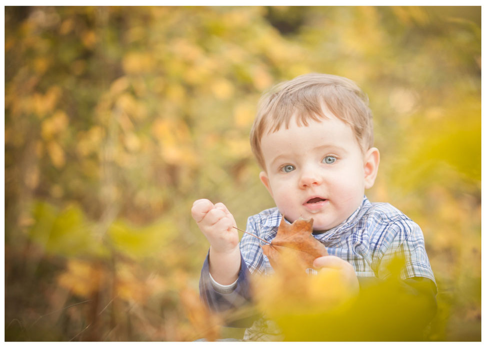 Kinderfotos Dresden, Babyfotos Dresden Familienfotos