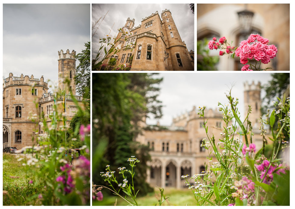 Hochzeit Schloss Eckberg Dresden Hochzeitsfotograf Dresden Hochzeit Schloss Eckberg Dresden, Hochzeit Dresden, internationale Hochzeit Dresden, Hochteizsfotograf Dresden Schloss Eckberg, Schlösserland Sachsen Hochzeit, Schloss Eckberg Dresden, Fotograf Ho