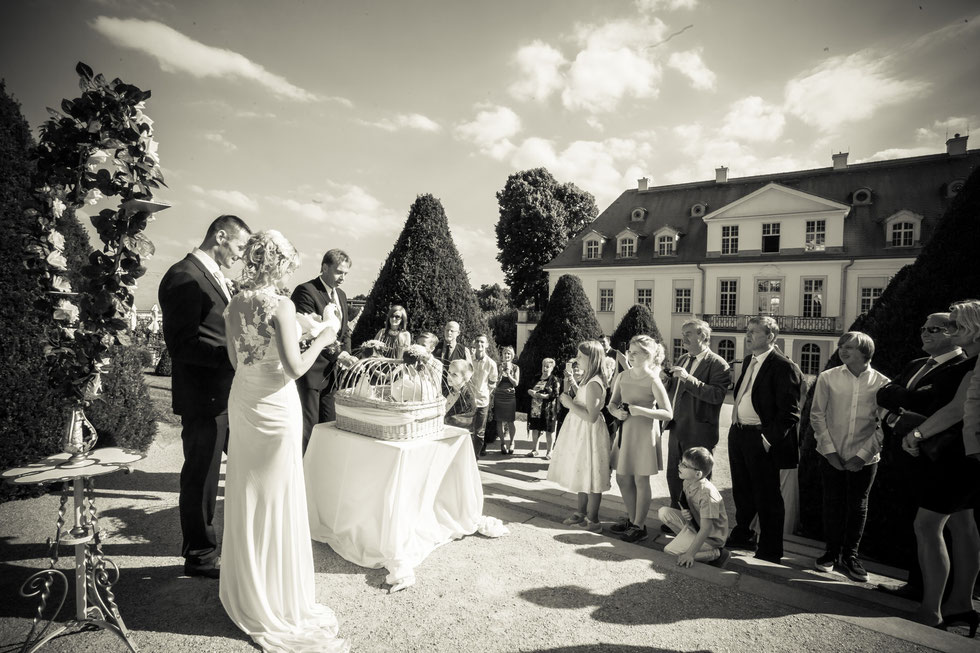 Hochzeitsfotos Dresden, Hochzeitsfotograf Dresden, Hochzeit Schloss Wackerbarth, Hochzeit Radebeul, Hochzeit auf Schloss Wackerbarth Radebeul, Hochzeitsfotos Schloss Wackerbarth, Hochzeit Schloss Wackerbarth