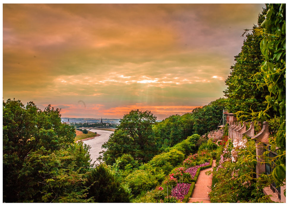 Hochzeit Schloss Eckberg Dresden Hochzeitsfotograf Hochzeit Schloss Eckberg Dresden, Hochzeit Dresden, internationale Hochzeit Dresden, Hochteizsfotograf Dresden Schloss Eckberg, Schlösserland Sachsen Hochzeit, Schloss Eckberg Dresden, Fotograf Hochzeit D