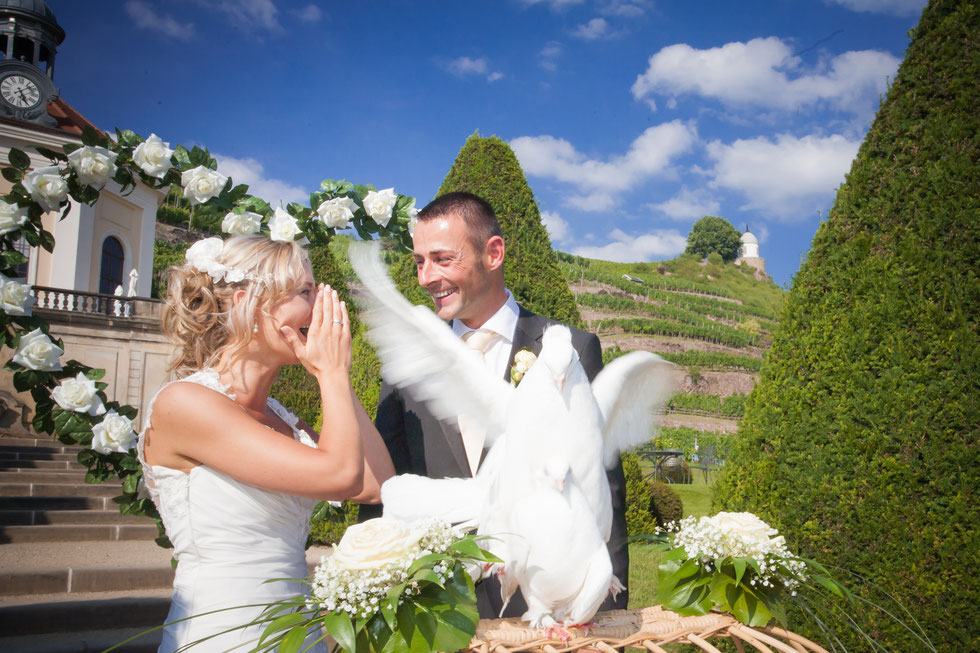Hochzeitsfotos Dresden, Hochzeitsfotograf Dresden, Hochzeit Schloss Wackerbarth, Hochzeit Radebeul, Hochzeit auf Schloss Wackerbarth Radebeul, Hochzeitsfotos Schloss Wackerbarth, Hochzeit Schloss Wackerbarth