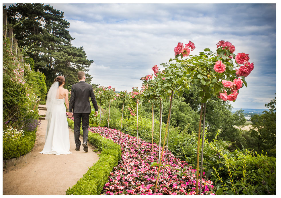 Hochzeit Schloss Eckberg Dresden Hochzeitsfotograf Hochzeit Schloss Eckberg Dresden, Hochzeit Dresden, internationale Hochzeit Dresden, Hochteizsfotograf Dresden Schloss Eckberg, Schlösserland Sachsen Hochzeit, Schloss Eckberg Dresden, Fotograf Hochzeit D