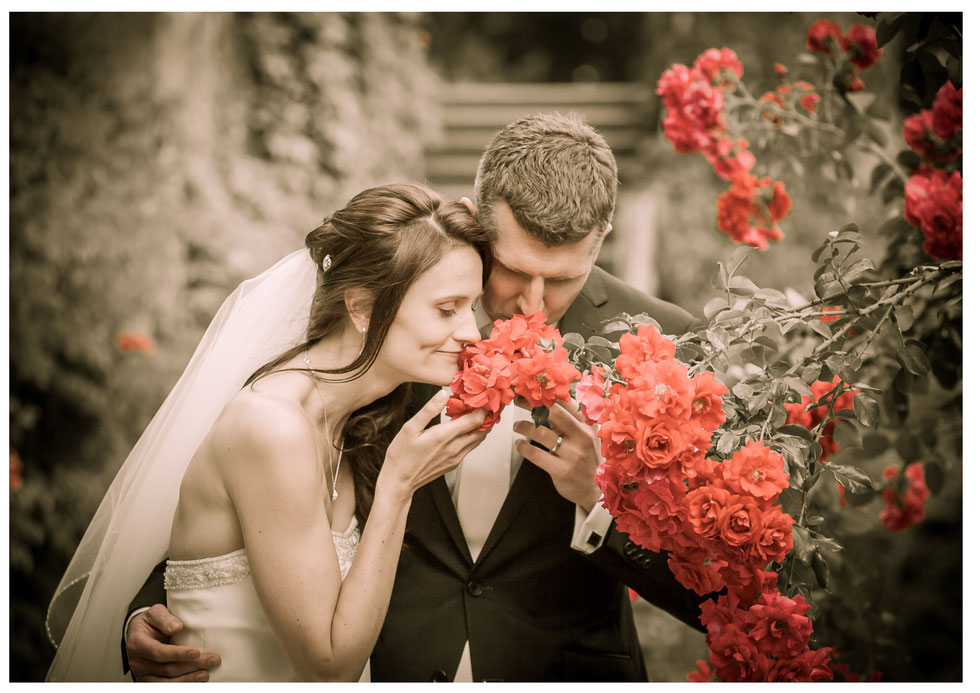 Hochzeit Schloss Eckberg Dresden Hochzeitsfotograf Dresden Hochzeit Schloss Eckberg Dresden, Hochzeit Dresden, internationale Hochzeit Dresden, Hochteizsfotograf Dresden Schloss Eckberg, Schlösserland Sachsen Hochzeit, Schloss Eckberg Dresden, Fotograf Ho