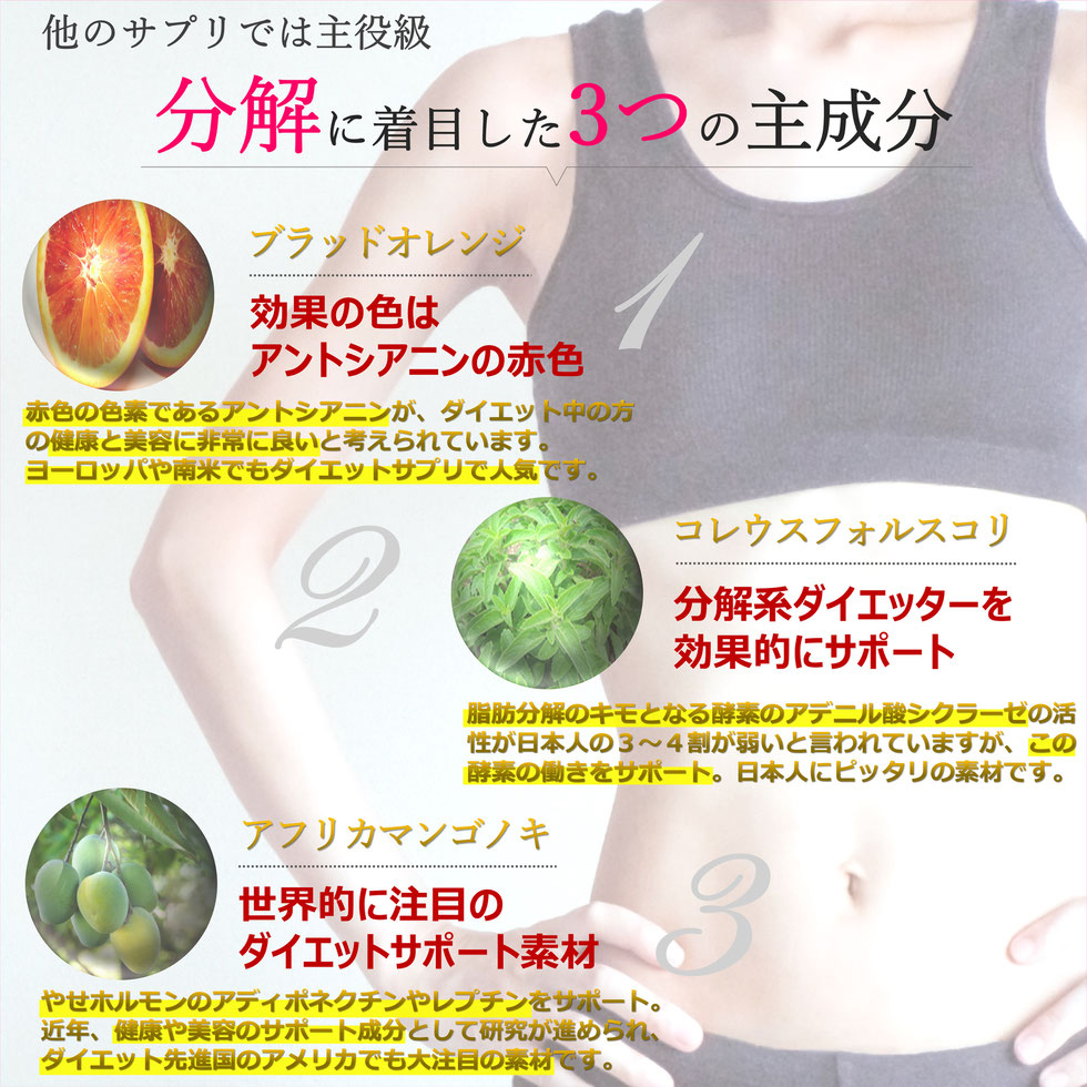 ダイエット サプリメント シンデレラサプリメント No.01『解』。脂肪の分解 に着目した日本唯一のダイエットサプリ。薬剤師が開発。激やせ よく効く 効果