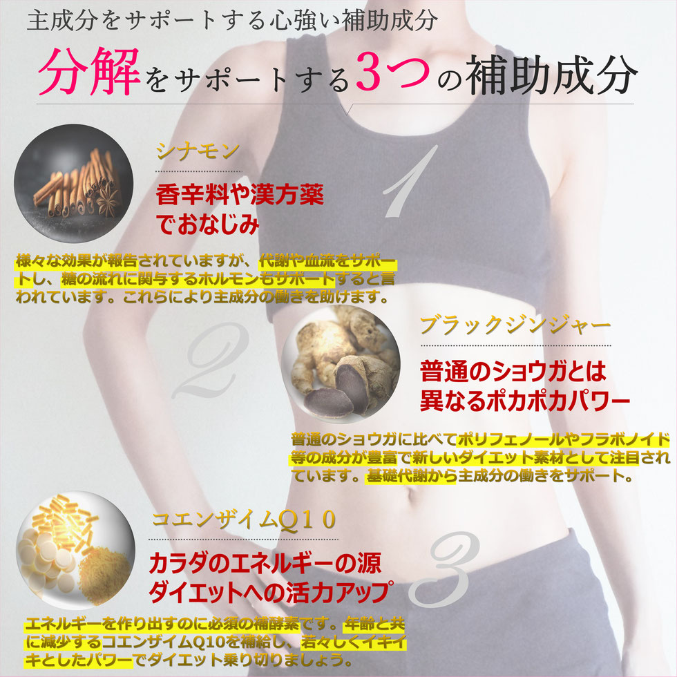 ダイエット サプリメント シンデレラサプリメント No.01『解』。脂肪の分解 に着目した日本唯一のダイエットサプリ。薬剤師が開発。激やせ よく効く 効果