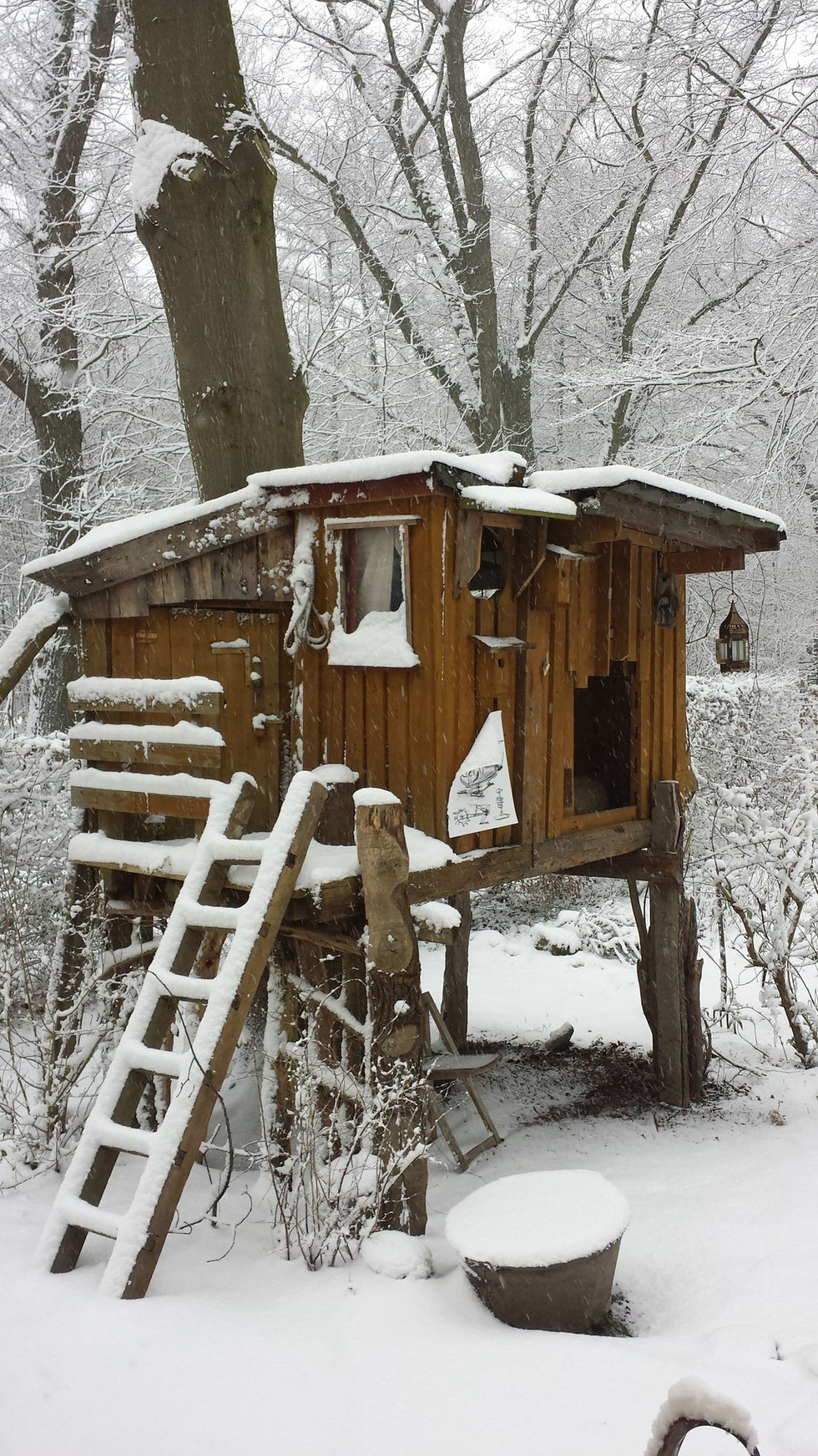 roter fuchs Atelier am Wald Vater Sohn Projekt Baumhaus bauen Krefeld