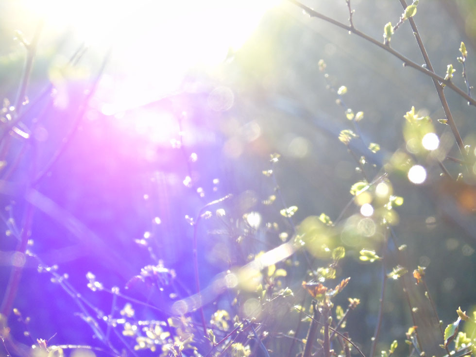©www.lichtwesenfotografie.com "Hinwendung zum Licht 2"