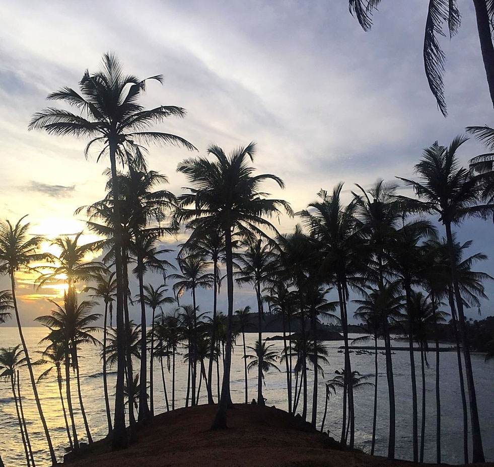 Coucher de soleil à Mirissa