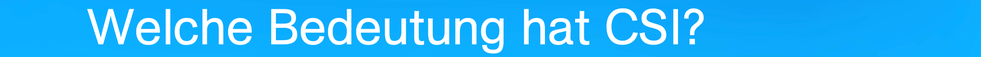 Welche Bedeutung hat CSI