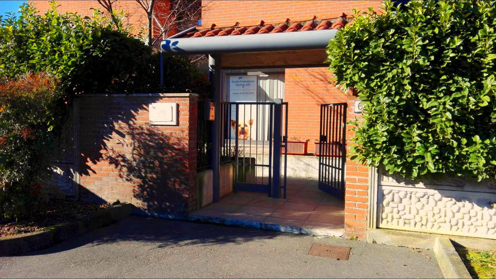 Scuola Educatore cinofilo Crema