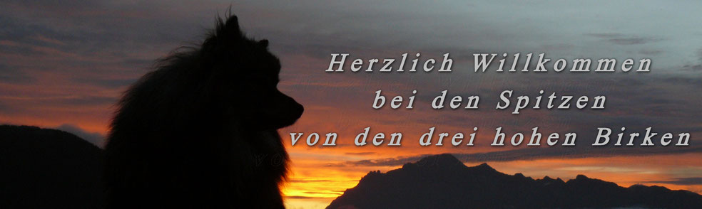 von-den-drei-hohen-birkens Webseite!