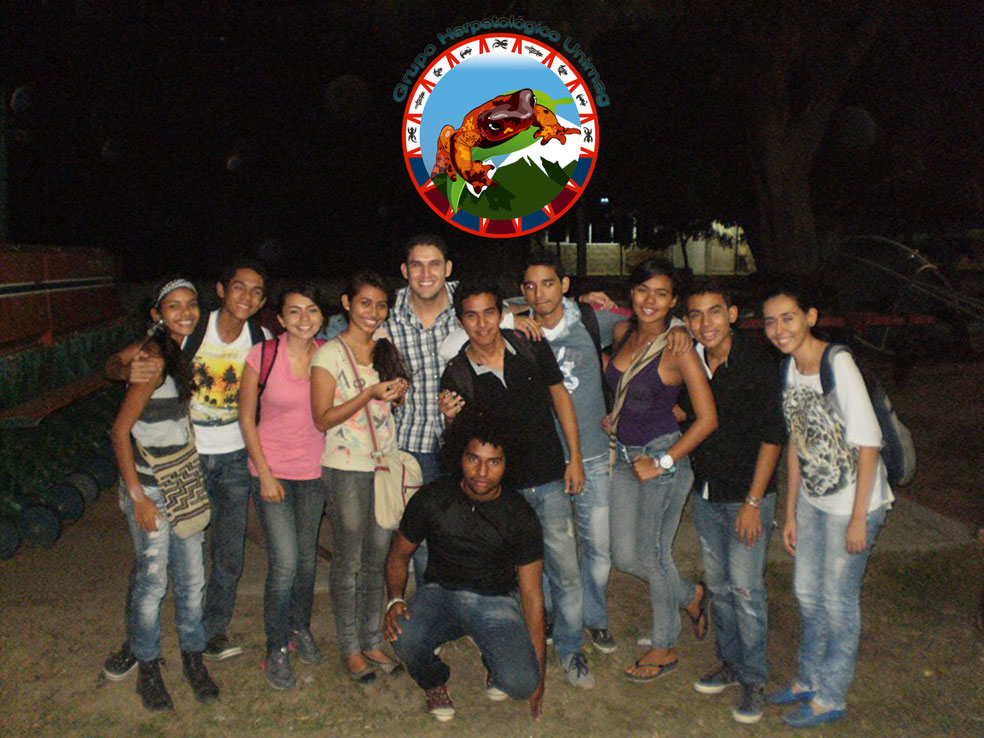 Froglets 2013