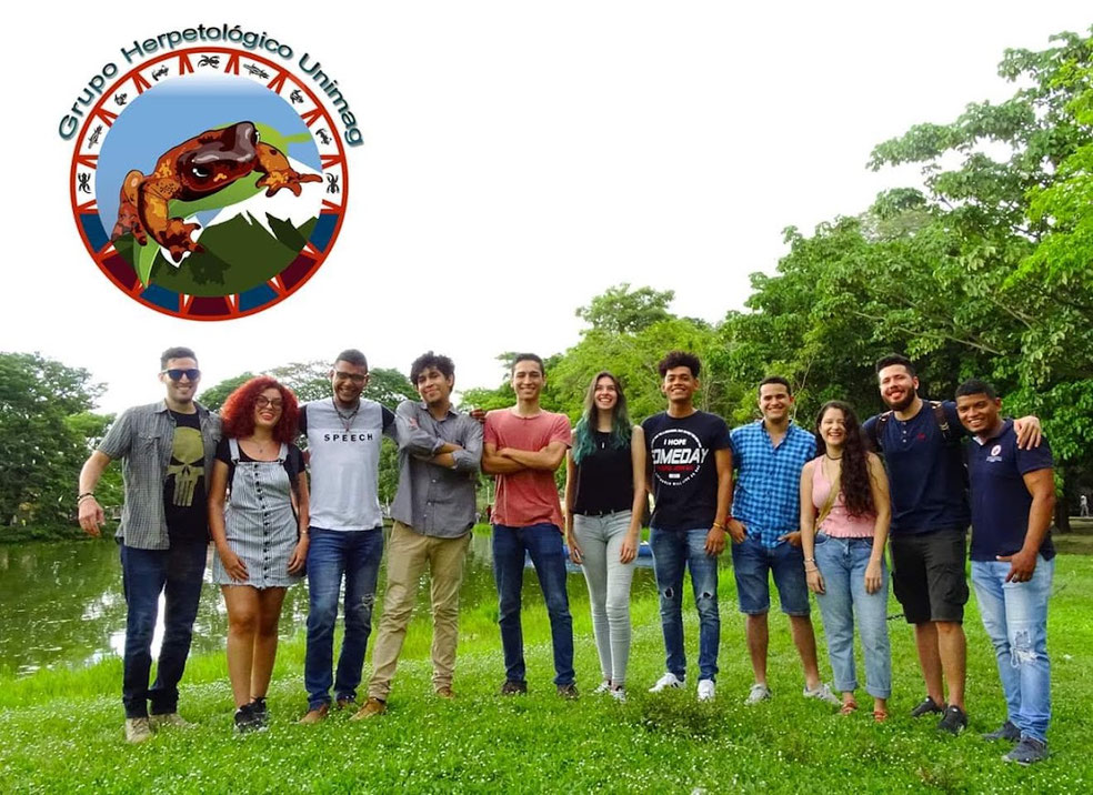 Froglets 2019