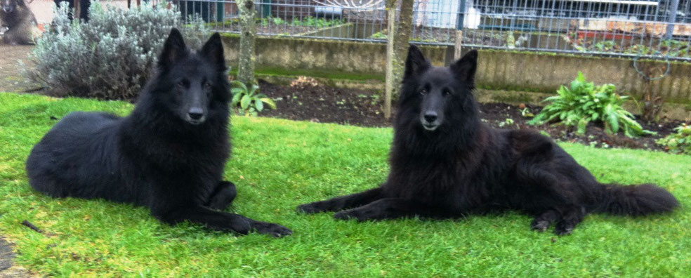 Akira vom Schatten der mir folgt und Aimy von dem Schatten hinter mir