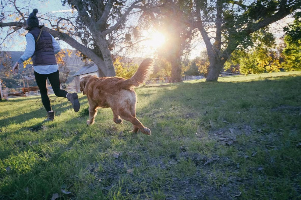 Frau rennt mit Hund über Wiese