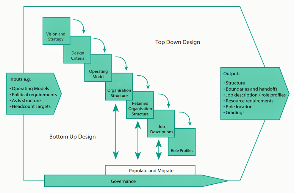 SEED Advisory on Organizational Design