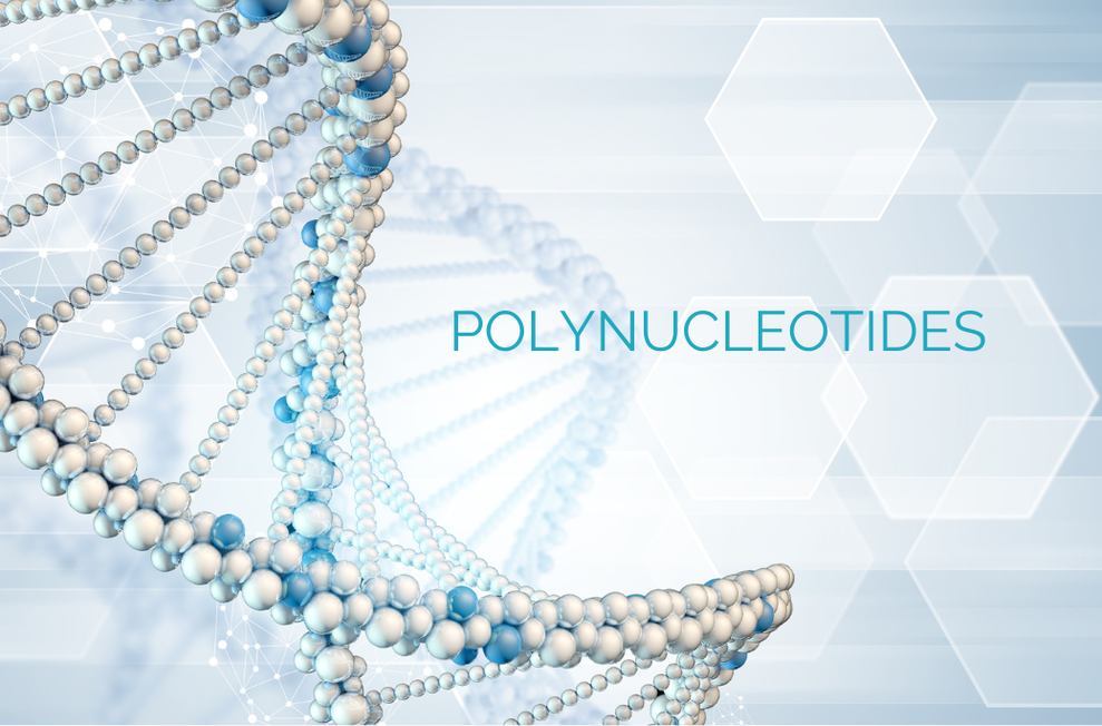 DNA pic to help visualise the nature of Polynucleotides that are highly purified DNA fragments.