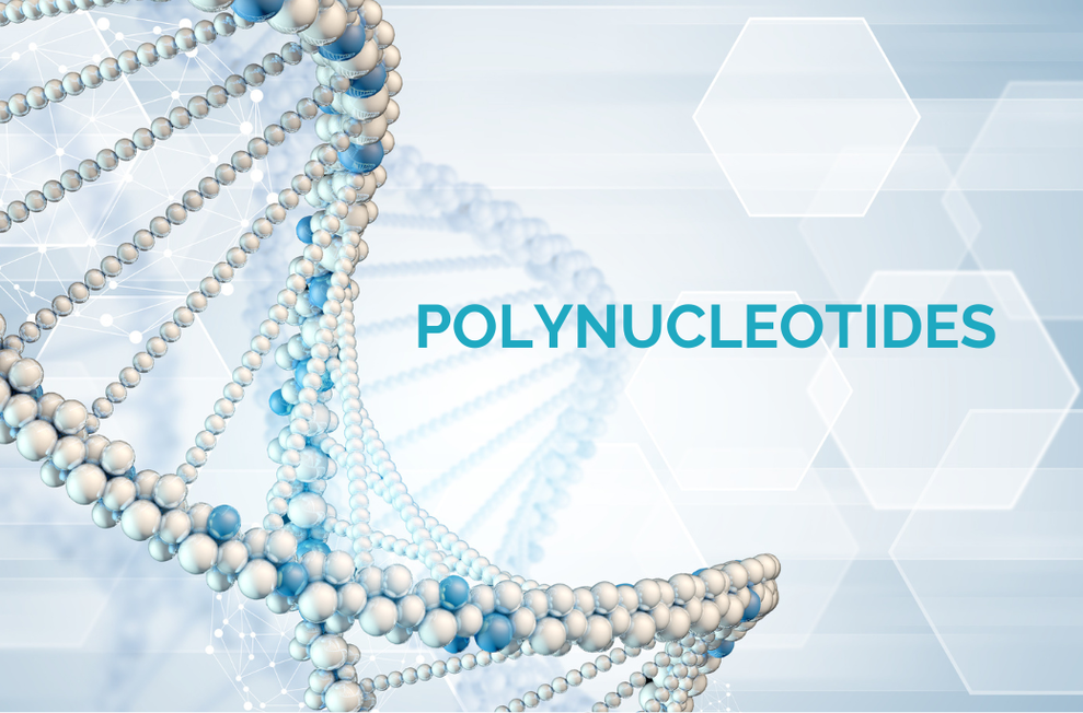 DNA pic to help visualise the nature of Polynucleotides that are highly purified DNA fragments.