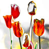 378 TulpenSolar