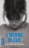 drogue