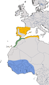 Karte zur Verbreitung der Iberische Schafstelze (Motacilla flava iberiae)
