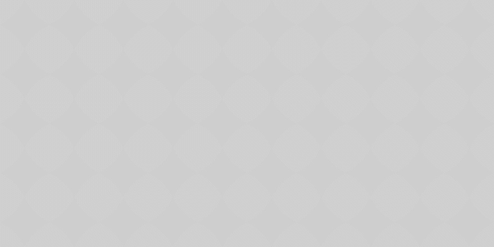 Istituto Nobile Aviation College - Logomarchio