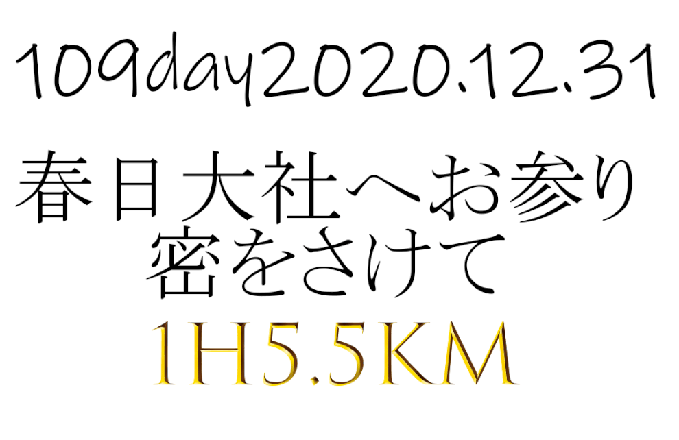 フルマラソン初挑戦でサブ４　朝から春日大社へお参りがてら散歩1時間5，5㎞