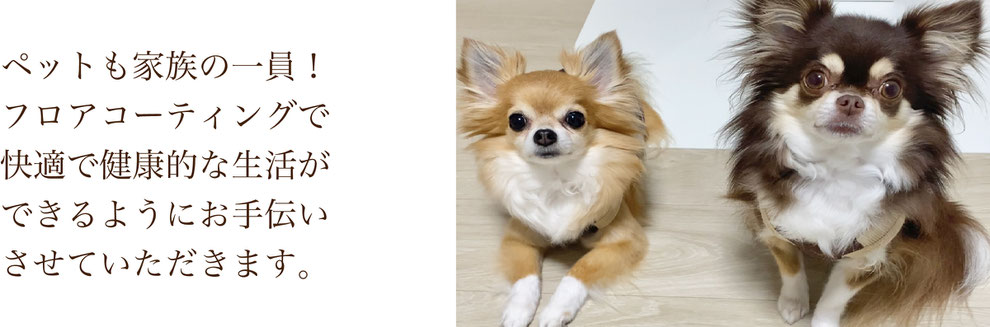 ペットのいる暮らし,フロアコーティング,フロアコーティイング名古屋,フロアコーティング愛知,犬,犬の床,床の傷,犬おしっこ,犬フローリング,犬滑る