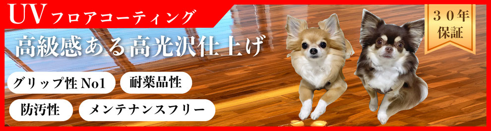 フロアコーティング,フロアコーティング滋賀,フロアコーティング大津,犬の床,犬滑る,滑らない床,UVフロアコーティング,グリップ性ナンバーワン,メンテナンスフリー,30年の長期保証