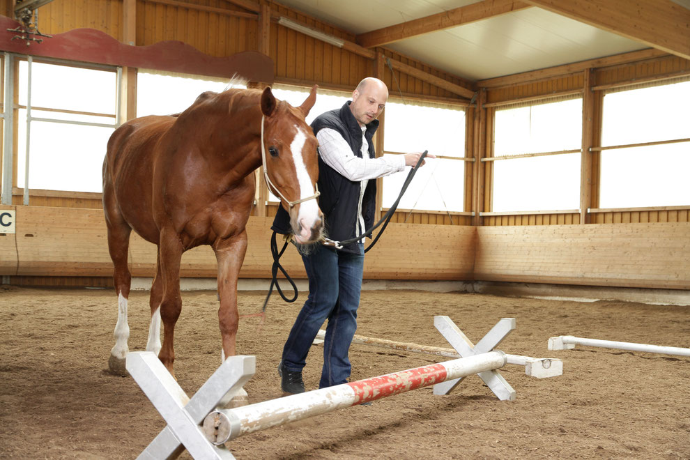 Michael Nadig ist erfahrener Business-Coach mit einer fundierten Spezialausbildung für Führungs- und Vertriebstrainings unter Einbeziehung von Pferden. Seit 2005 hat er in ca. 150 Horse-Leadership-Power-Trainings Führungskräfte weiter gebracht.