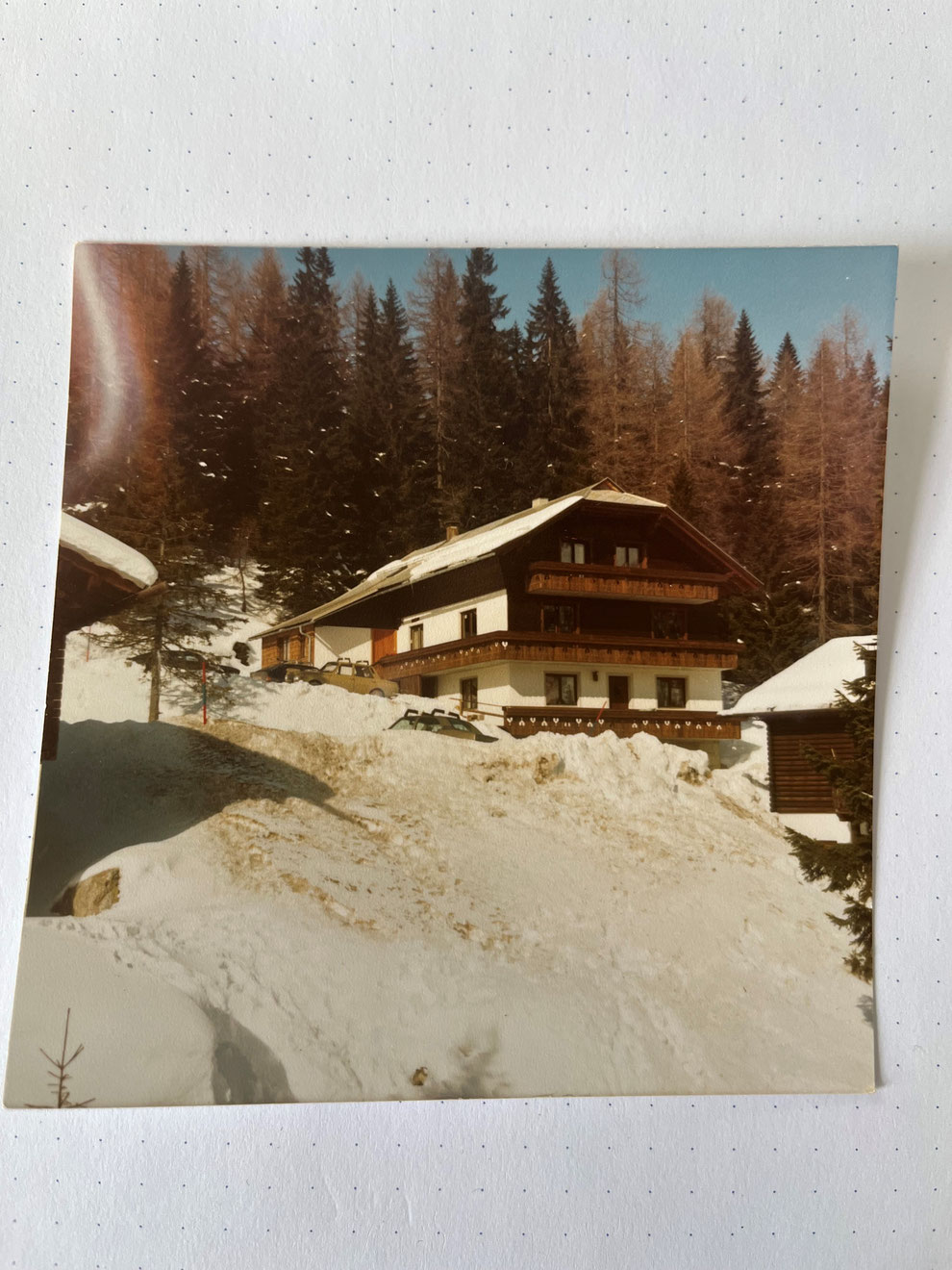 Almhaus Bachmann 1984