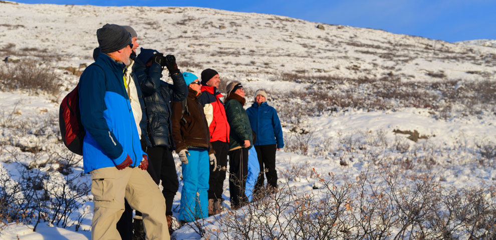 カンゲルルススアーク アルバトロス トラベル 北極 南極クルーズ